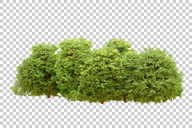 Green forest isolated on transparent background 3d rendering illustration