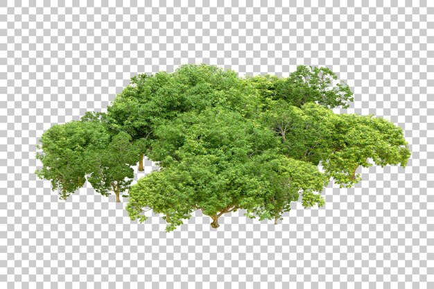 PSD foresta verde isolata su sfondo trasparente illustrazione di rendering 3d