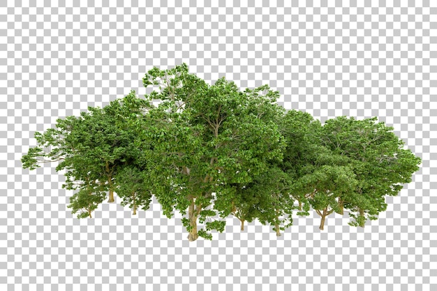 Green forest isolated on transparent background 3d rendering illustration