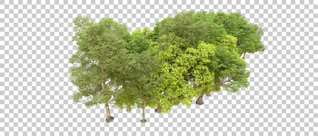 PSD green forest isolated on transparent background 3d rendering illustration