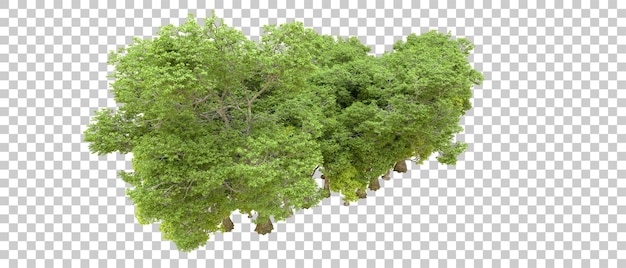 Green forest isolated on transparent background 3d rendering illustration