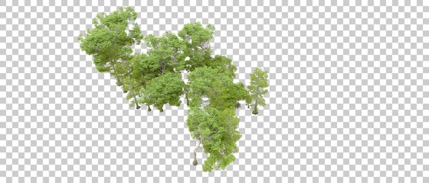 green forest isolated on transparent background 3d rendering illustration