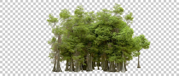 Foresta verde isolata su sfondo trasparente illustrazione di rendering 3d