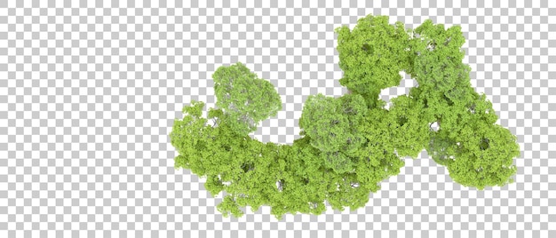 PSD foresta verde isolata su sfondo trasparente illustrazione di rendering 3d