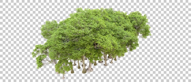 Green forest isolated on transparent background 3d rendering illustration