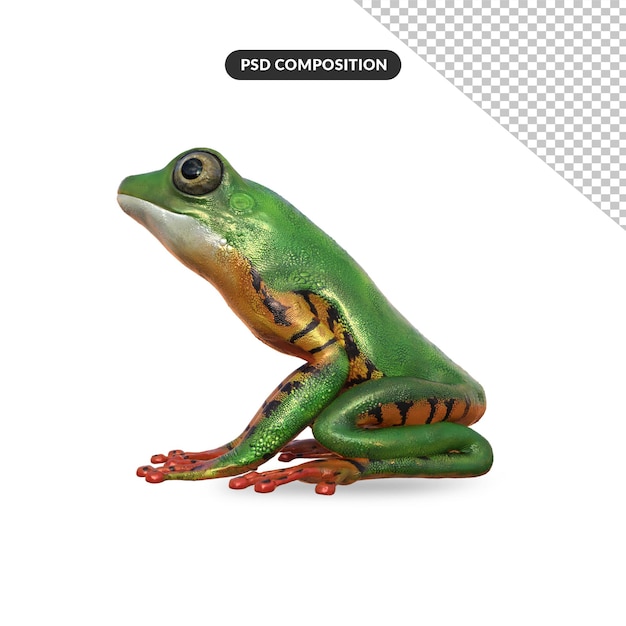 PSD green frog 3d rendering stock