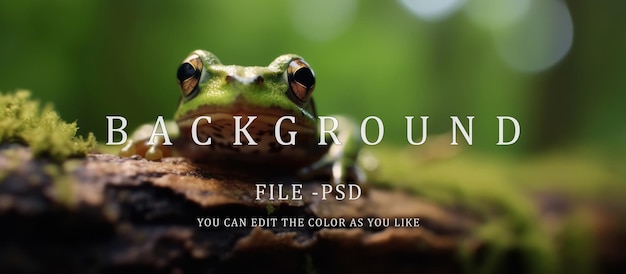 PSD green frog on a log blur nature background