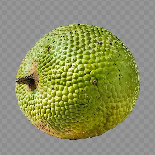 PSD a green fruit with a yellow center and green speckled skin