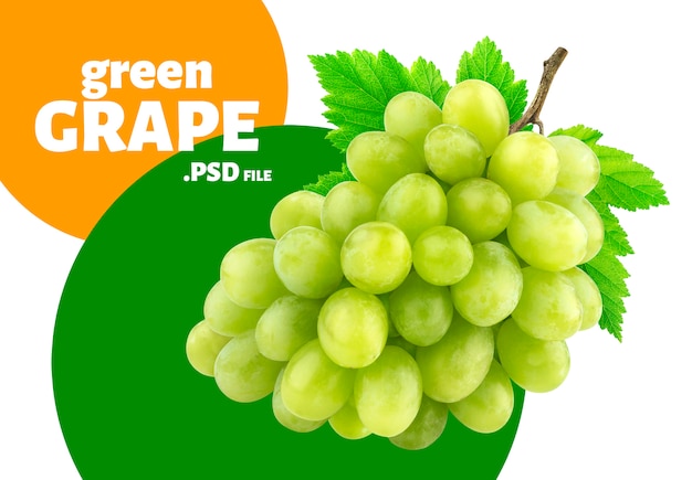 PSD green grape with leaves banner