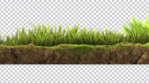 Green grass cut png