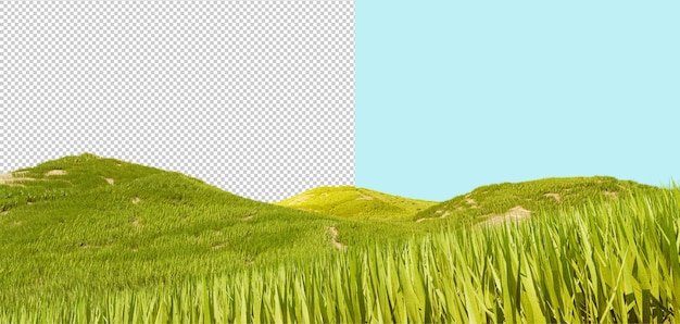 PSD green grass field 3d landscape of a green lawn grass texture