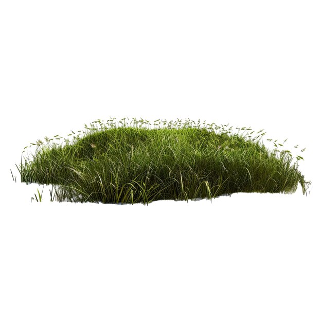 PSD green grass field isolated