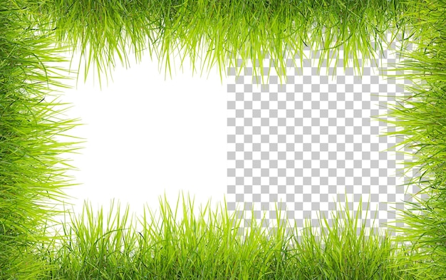 PSD green grass frame isolated on a white background green field frame background 3d render