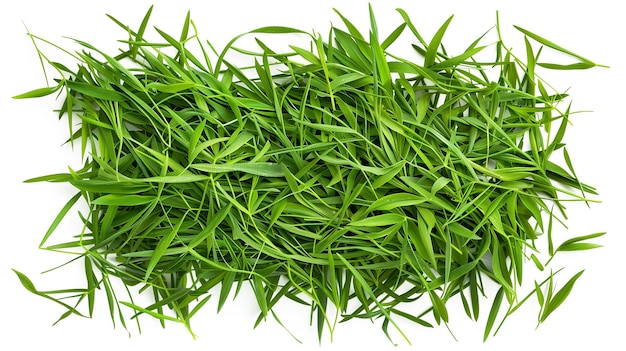 Green grass isolated on transparent background Top view Flat lay