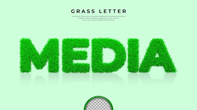 PSD green grass di media word nel rendering 3d