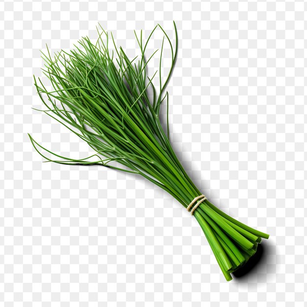 PSD a green grass stalk with a string on a transparent background