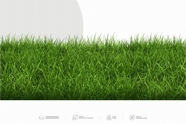 PSD green grass on transparent background