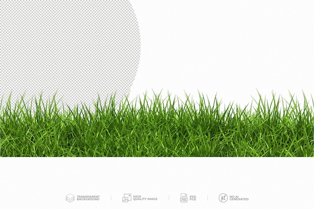 PSD green grass on transparent background