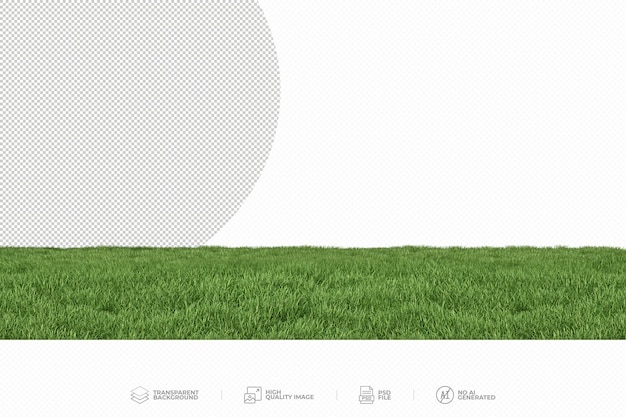 PSD green grass on transparent background