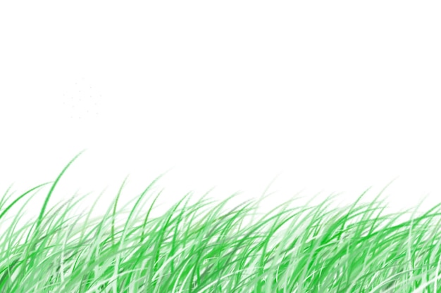白い背景の緑の草と緑の草の背景