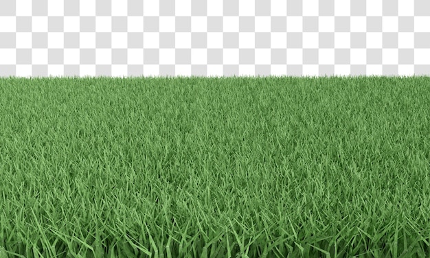 PSD green grass