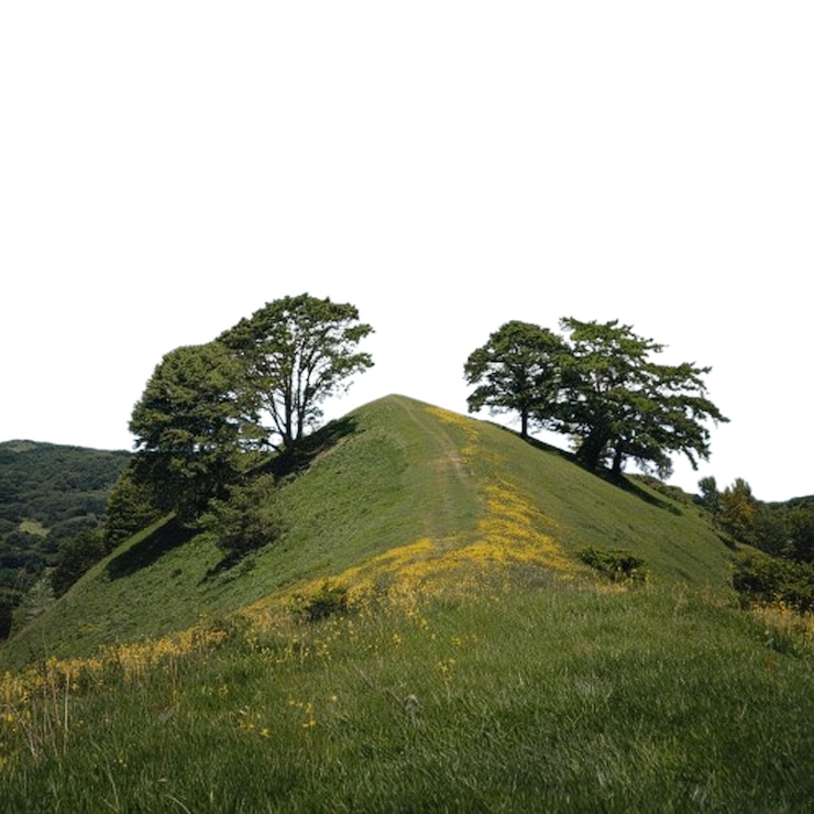 PSD a green hill with trees on it and a white sky above it