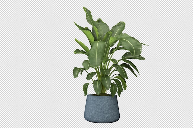 Green houseplant mockup in 3d rendering