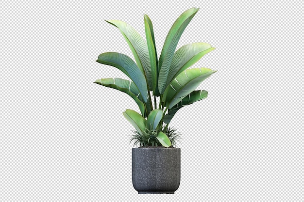 3Dレンダリングで緑の観葉植物のモックアップ