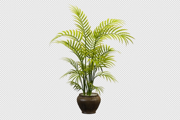 Green houseplant mockup in 3d rendering