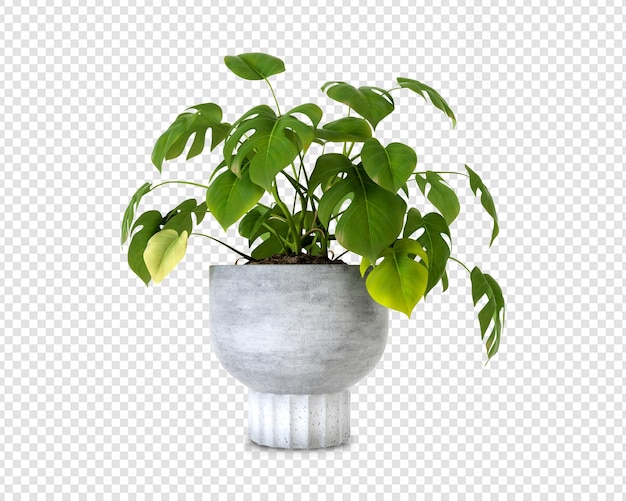 3d 렌더링에 녹색 Houseplant 모형