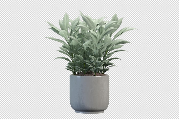 Макет зеленого комнатного растения в 3d-рендеринге