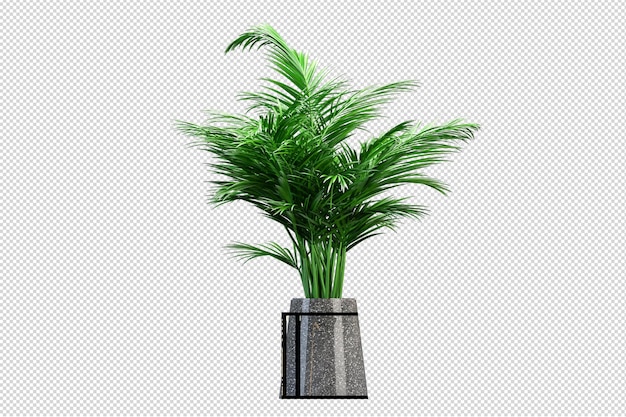 3dレンダリングで緑の観葉植物のモックアップ