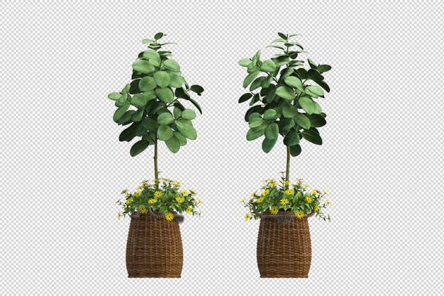 3dレンダリングで緑の観葉植物のモックアップ