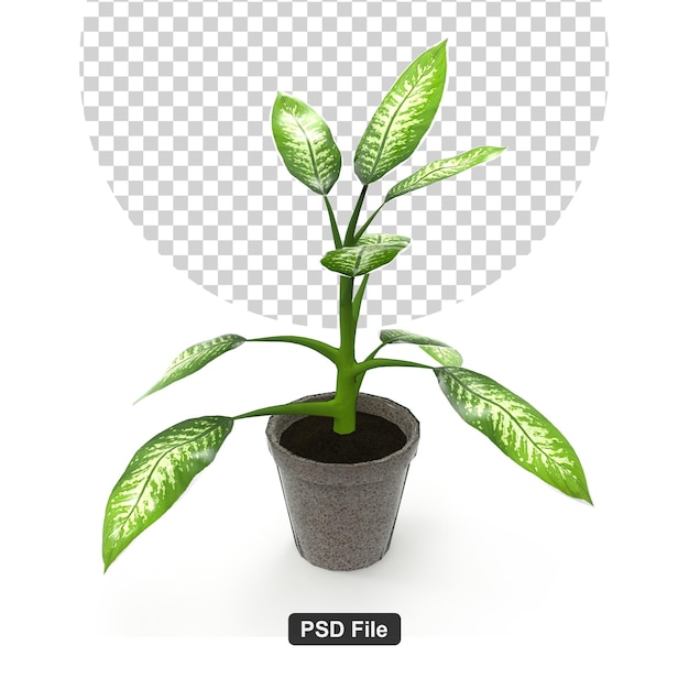 Зеленое комнатное растение