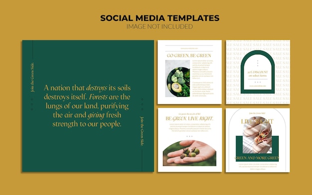 PSD green instagram social media post templates