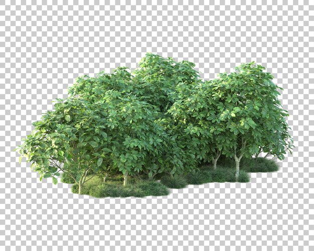 green landscape isolated on transparent background 3d rendering illustration