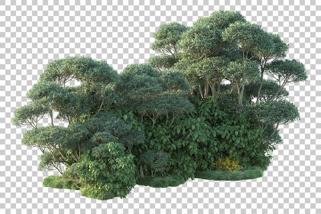 green landscape isolated on transparent background 3d rendering illustration