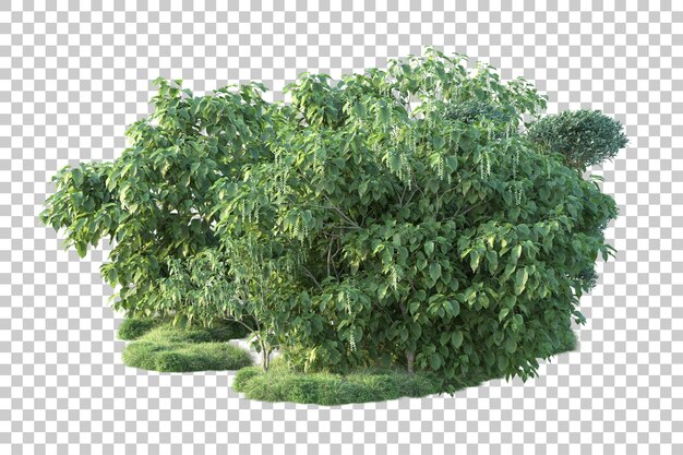 green landscape isolated on transparent background 3d rendering illustration