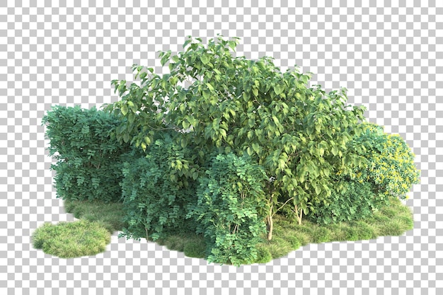 green landscape isolated on transparent background 3d rendering illustration