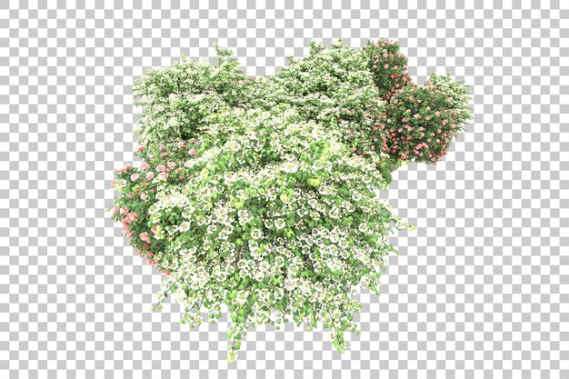 PSD green landscape isolated on transparent background 3d rendering illustration