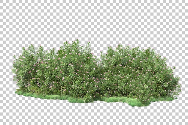 ภาพทิวทัศน์สีเขียวแยกบนพื้นหลังโปร่งใส ภาพเรนเดอร์ 3 มิติ