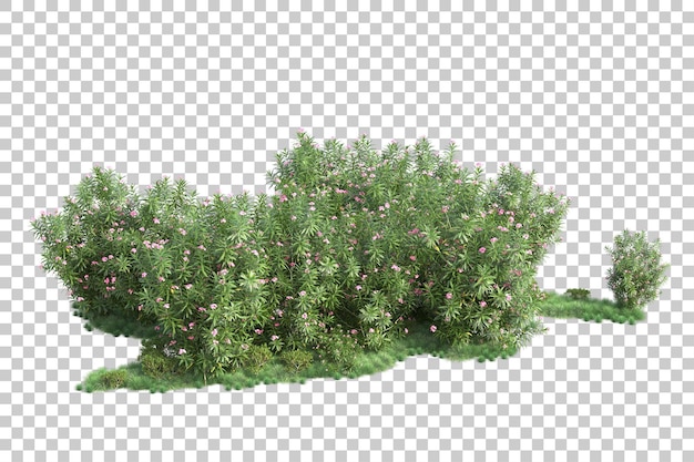 ภาพทิวทัศน์สีเขียวแยกบนพื้นหลังโปร่งใส ภาพเรนเดอร์ 3 มิติ