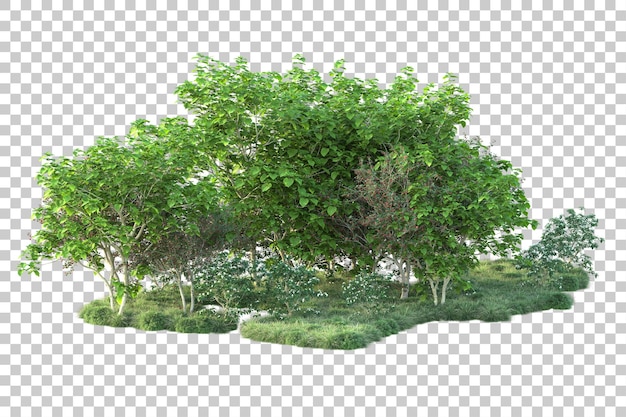 ภาพทิวทัศน์สีเขียวแยกบนพื้นหลังโปร่งใส ภาพเรนเดอร์ 3 มิติ