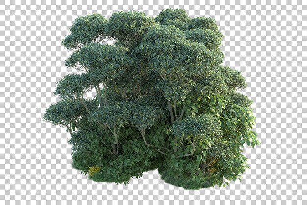 green landscape isolated on transparent background 3d rendering illustration