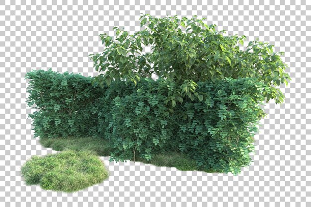 PSD green landscape isolated on transparent background 3d rendering illustration