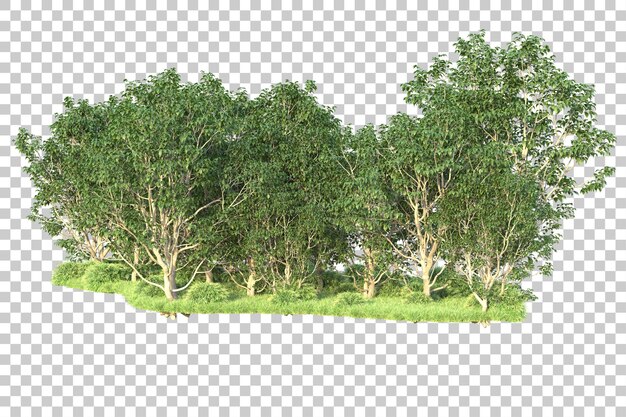 PSD green landscape isolated on transparent background 3d rendering illustration