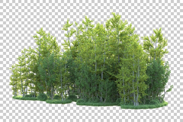 PSD green landscape isolated on transparent background 3d rendering illustration