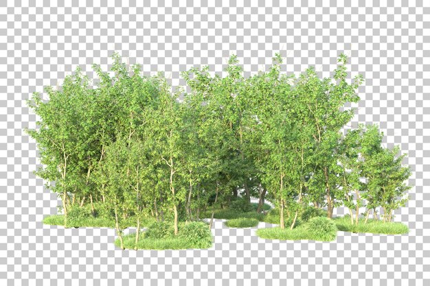 PSD green landscape isolated on transparent background 3d rendering illustration