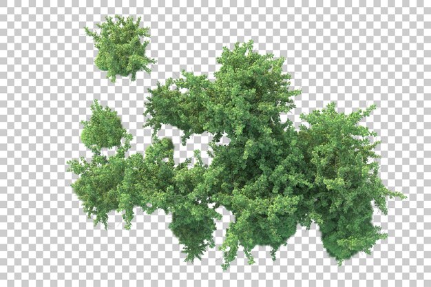 PSD green landscape isolated on transparent background 3d rendering illustration