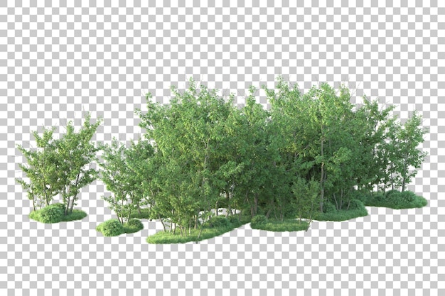 PSD green landscape isolated on transparent background 3d rendering illustration
